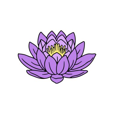 El çizimi mor nilüfer çiçeği çizimi, beyaz arka planda izole edilmiş. Nilüfer çiçeği, güzel karalama.