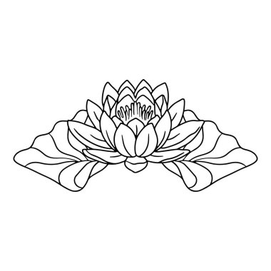 El çizimi siyah ve beyaz nilüfer çiçeği ve beyaz arka planda izole edilmiş sanat vektör çizgisi çizimi bırakır. Su zambağı tek renkli karalama klişesi