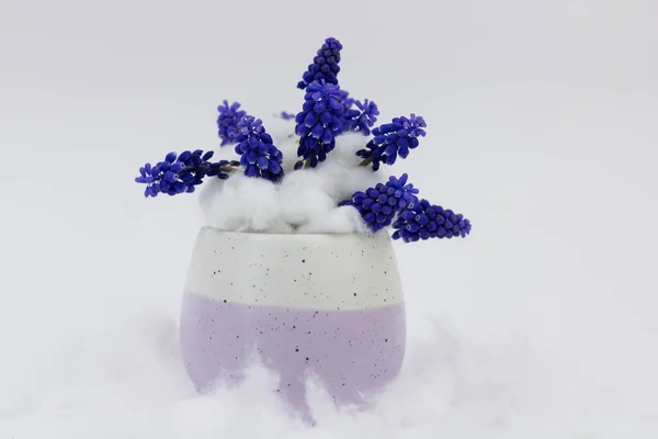 Flores Púrpuras Jarrón Sobre Fondo Blanco —  Fotos de Stock