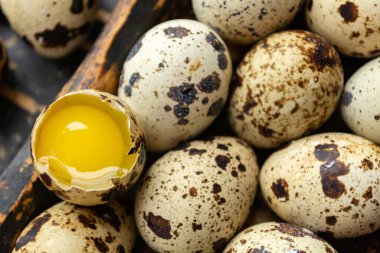 Tahta tabakta taze bıldırcın yumurtası. Sağlıklı yiyecekler. Yukarıdan görüntüle