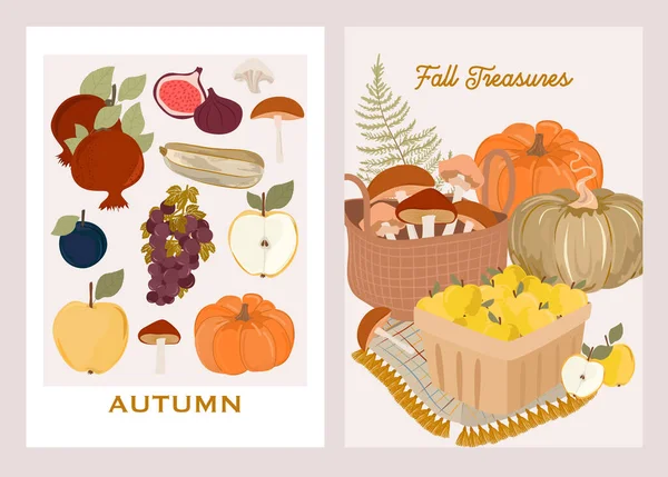 Sammlung Von Herbstplakaten Herbstkarten Botanische Illustrationen Herbstblätter Ernte Kürbis Wildblumen — Stockvektor