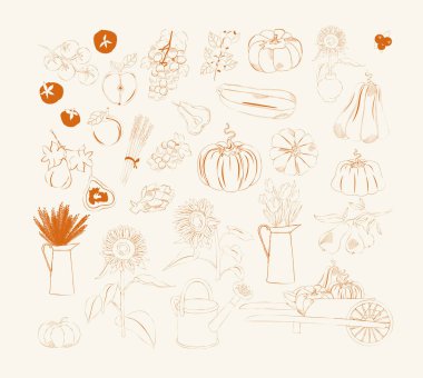 Collection of fall harvest illustration in sketch style. Sunflowers, pumpkin, fruit and vegetables. Editable vector illustration.kitchen art.