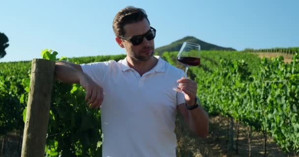 Homme Chemise Blanche Boit Vin Verre Dans Vignoble Homme Tenant — Video