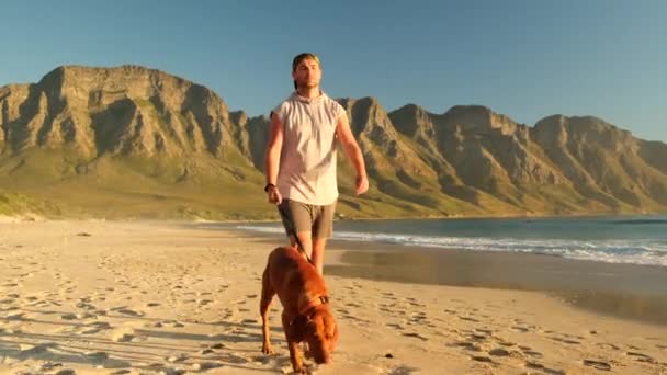 一个穿短裤的男人和他心爱的狗欢快地沿着海滨散步 早上和宠物一起慢跑 男人和他的狗一起跑步 人和动物在友谊中快乐而又相爱 — 图库视频影像