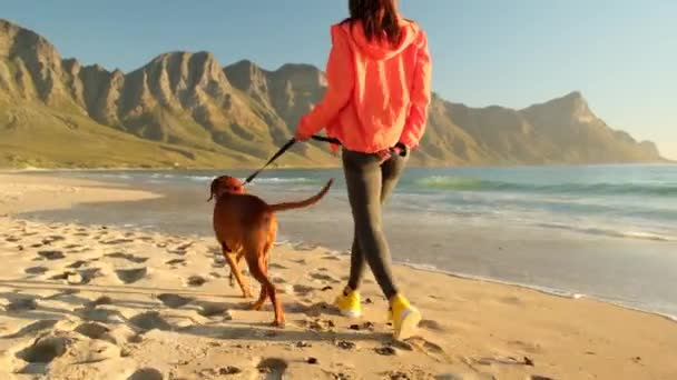 Ein Mann Kurzen Hosen Spaziert Fröhlich Mit Seinem Geliebten Hund — Stockvideo