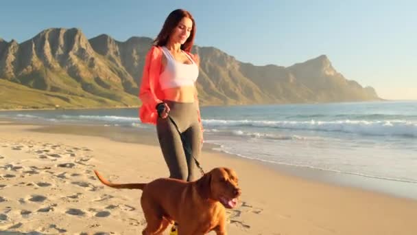 Egy Rövidnadrágos Férfi Vidáman Sétál Óceán Partján Szeretett Kutyájával Reggeli — Stock videók