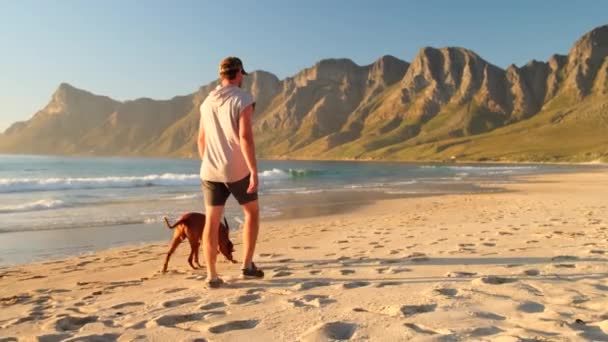 若い男が座って ビーチで犬を抱きかかえています 友情の概念 男と犬が一緒にビーチに座って日の出を楽しむ 大人の男性がビーチでゴールデンレトリバー犬を散歩していて — ストック動画