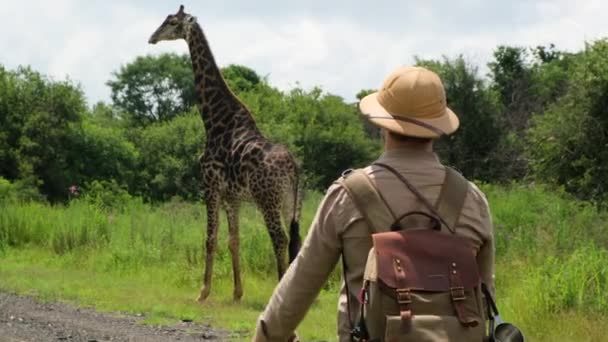 Podróżnik Odkrytych Ubraniach Pokazuje Serce Dłońmi Żyrafy Savannah Samiec Kapeluszu — Wideo stockowe