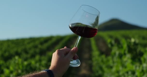 Człowiek Trzyma Kieliszek Czerwonego Wina Polu Winnicy Ręka Szklanką Wina — Wideo stockowe