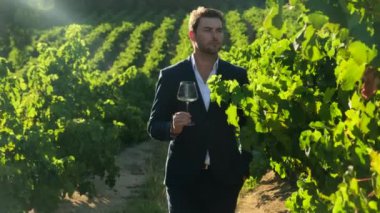 Üzüm bağı tarlasında elinde kırmızı şarap kadehi tutan bir adam. Üzüm bağında elinde kırmızı şarapla mutlu bir adam. Vintner, tarım girişimcisi, sahibi. Sommelier adam kadehte şarap kokluyor.