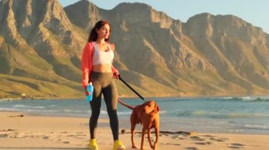 Köpekler sahibinin kumsalda oynamaktan hoşlanırlar. Arkadaşlık kavramı, gün batımında sahilde oturan kadın ve köpek. Plajda köpekle oynayan kız. Akşamları okyanus kıyısında sahilde yürüyorum.
