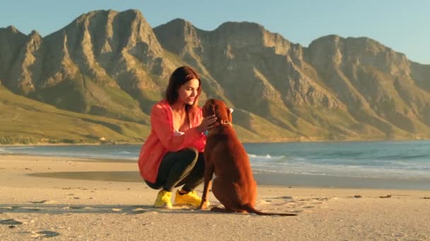 Donna Seduta Abbracciare Cane Sulla Spiaggia Concetto Amicizia Donna Cane — Video Stock