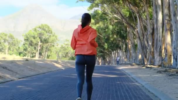朝の熱帯林のトレイルを走る若いフィットネス女性 ブルネットランナーの女性が公園のジョギングをしている 午前中に自然の中で実行している間 イヤフォンで音楽を聞いて幸せな運動の女性 — ストック動画