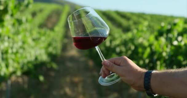 Verre Vin Rouge Vieilli Magnifique Sur Fond Raisins Dégustation Vin — Video