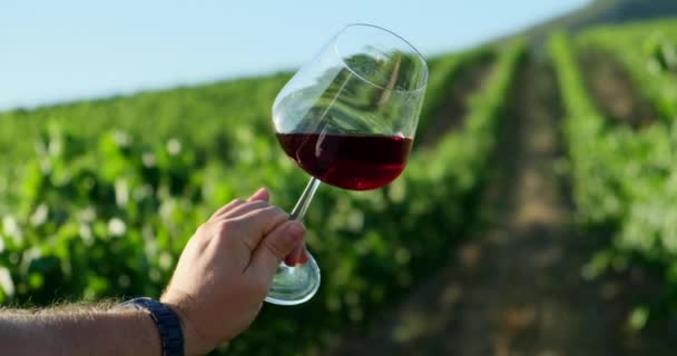 Szklanka Wspaniałego Dojrzałego Czerwonego Wina Tle Winogron Degustacja Wina Koncepcja — Wideo stockowe