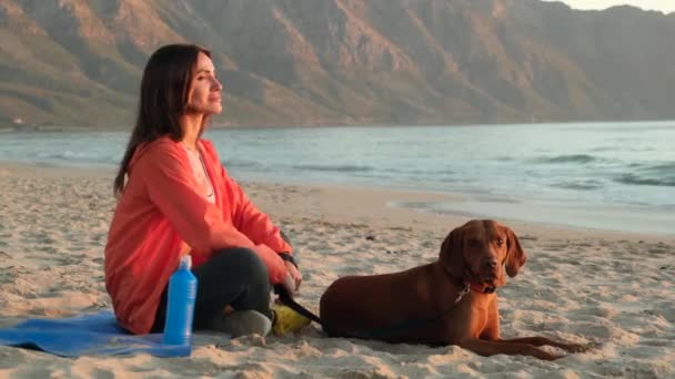 Mulher Atlética Uma Caminhada Matinal Com Cão Praia Feliz Afetuoso — Vídeo de Stock