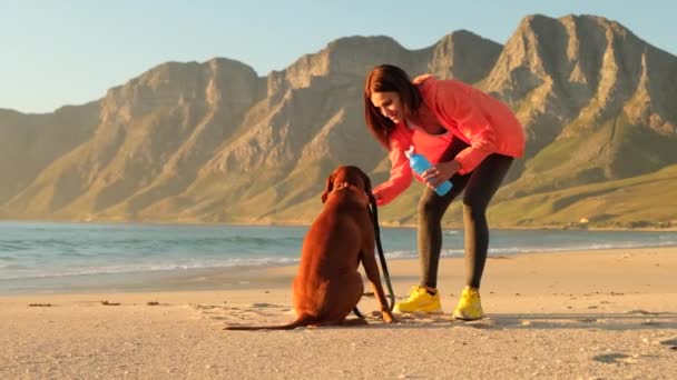 Mujer Atlética Paseo Matutino Con Perro Playa Mujer Bronceada Cariñosa — Vídeos de Stock