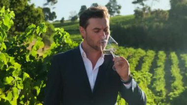 Takım elbiseli çekici moda adamı gün batımında beyaz şarap içer. Takım elbiseli başarılı adam şaraphanesinde şarap içiyor. Amerikalı işadamı Kaliforniya 'daki üzüm bağlarında bir bardak şarapla dinleniyor.