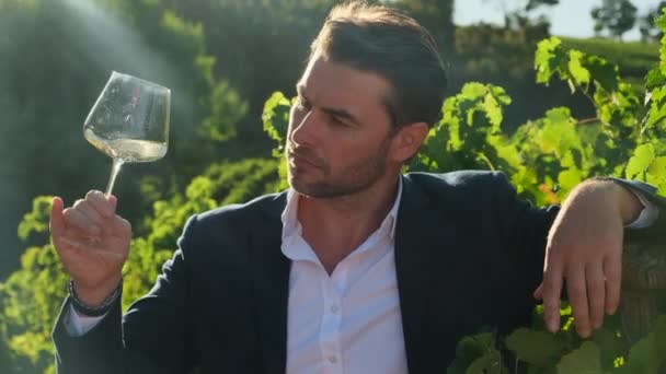 スーツを着た魅力的なファッションマンは日没時に白ワインを飲む スーツ姿のスタイリッシュな男がワイナリーでワインを飲む カリフォルニアのブドウ畑でワインを飲みながらリラックスしているアメリカ人ビジネスマン — ストック動画