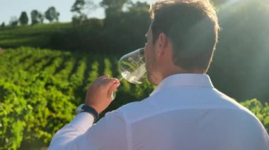 Young sommelier tasting wine. Young sommelier sniffing and tasting newly imported wine and smiling happily after tasting. a man in a white shirt drinks wine from a glass goblet at a winery, rear view