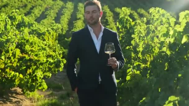 Man Suit Drinking Wine Winery Happy Handsome Elegantly Dressed Man — Vídeo de Stock