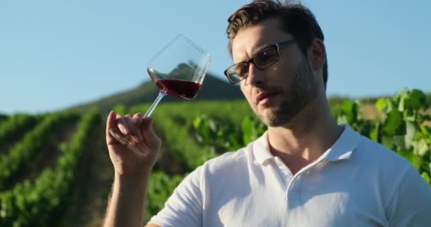Young Sommelier Tasting Wine Young Sommelier Sniffing Tasting Newly Imported — Stock video