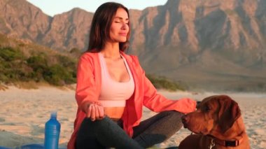 Healthy with Yoga Concept. Attractive young woman practice Downward Facing Dog Pose Adho Mukha Svansana.athletic woman at sunset in a lotus position sits on the sand of the ocean beach with a dog.