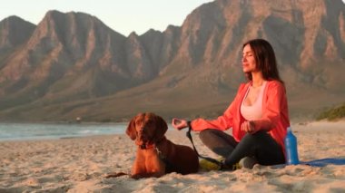 female with retriever dog playing on the beach during sunset or sunrise. woman performs yoga stretching exercises with dog at the beach. Golden Retriever lifestyle on summer holiday. girl with dog