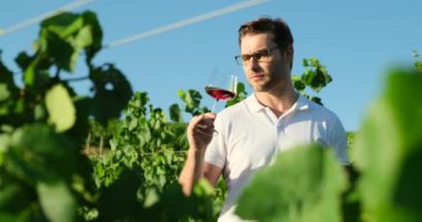 Authentic shot of happy handsome elegantly dressed man is tasting a flavor and drinking fresh wine. successful man in white polo drinking white wine from glass at winery. sommelier man sniffing wine