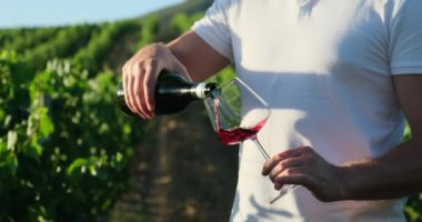 male hand holding a bottle of wine and pouring red wine into a glass. Unrecognizable bartender hand holding bottle. Sommelier tasting wine in the cellar, he is pouring an excellent red wine