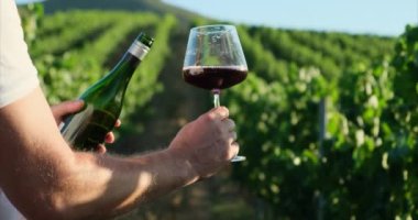 male hand holding a bottle of wine and pouring red wine into a glass. Unrecognizable bartender hand holding bottle. Sommelier tasting wine in the cellar, he is pouring an excellent red wine