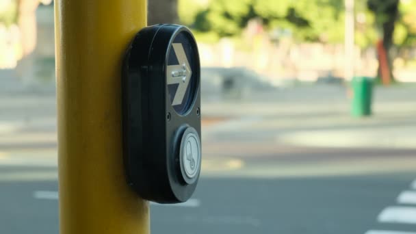横断歩道の信号ボタンをクリックし トラフィックを切り替えます 公共の安全のための交通規則と規制 横断歩道のボタンを押します 歩行者が交差点に立っていて — ストック動画