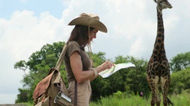 A lone giraffe in the wild of the African savannah walks past a safari car and tourists. a girl tourist in safari clothes holds a paper map and looks for a way in the savannah near a giraffe