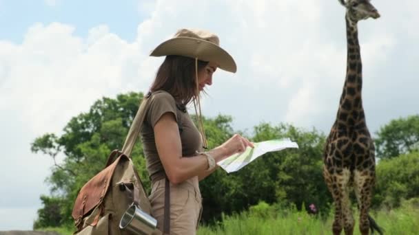 アフリカのサバンナの野生の唯一のキリンは サファリカーや観光客を通ります サファリ服の少女観光客は紙の地図を持っていてキリンの近くのサバンナで道を探しています — ストック動画