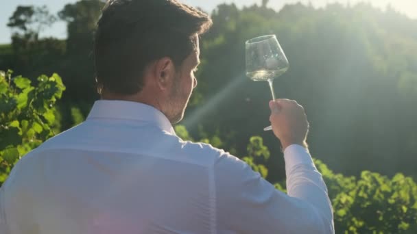 フランスのワイナリーでワイングラスを持った白いシャツの男 プロのワインエキスパート ソムリエがワイングラスを持ち レビューを行います 工場や倉庫でワインをテストする男 — ストック動画