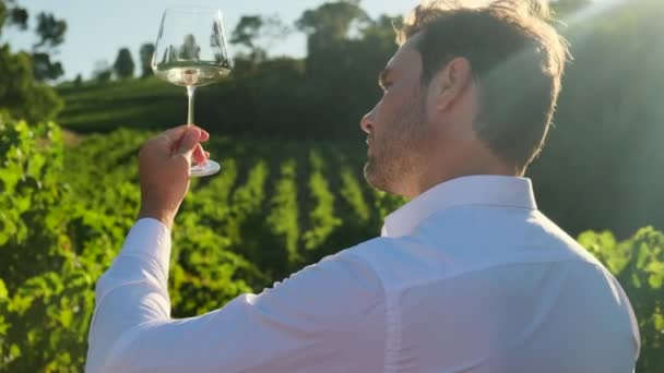 成功した男性ワインメーカーの本物のクローズアップは 風味を味わうために透明なガラスに赤ワインを注ぎ 日没時にブドウ畑の背景に品質を確認しています ワインを片手に — ストック動画