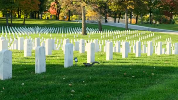 Memorial Day Veterans Cemetery Arlington National Cemetery Panning Shot Sunset — Vídeo de Stock