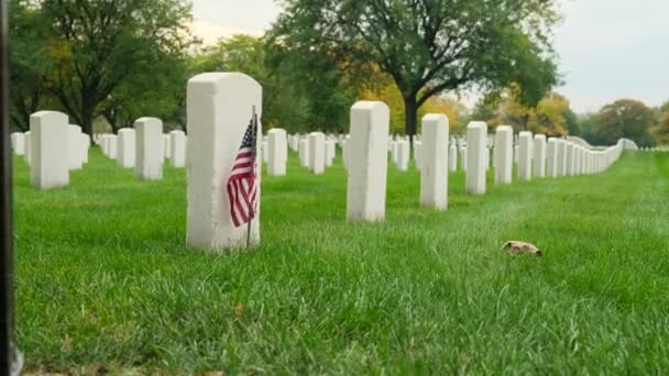 Militaire Begraafplaats Ingericht Voor Memorial Day Grafstenen Amerikaanse Vlag Nationale — Stockvideo
