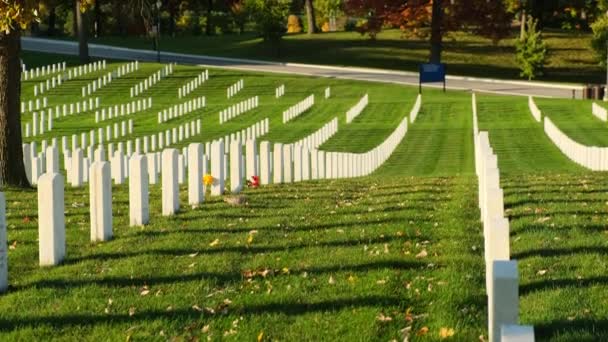 Soldatenfriedhof Zum Volkstrauertag Geschmückt Grabsteine Und Amerikanische Flagge Nationaler Gedenkfriedhof — Stockvideo