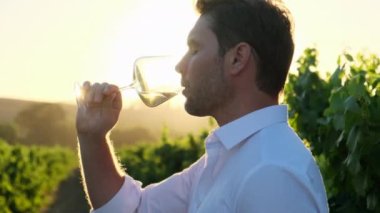 Yakışıklı, zarif giyimli bir adam gün batımında arkaplanda şeffaf bardaklara dökülen taze şarapları tadıyor. Sommelier tadarken bir bardak şarapla kıvrılır.