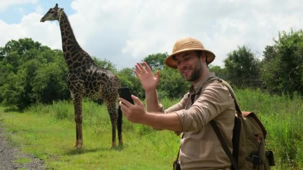 Giraffe Giraffa Camelopardalis Kruger National Park South Africa Male Traveler — Vídeos de Stock