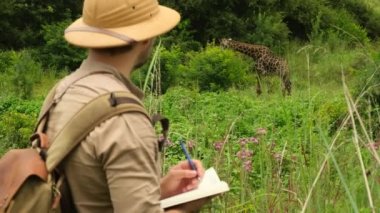 A lone giraffe in the wild of the African savannah walks past a safari car and tourists. a male zoologist in a safari hat and a notepad makes notes about wild animals. 