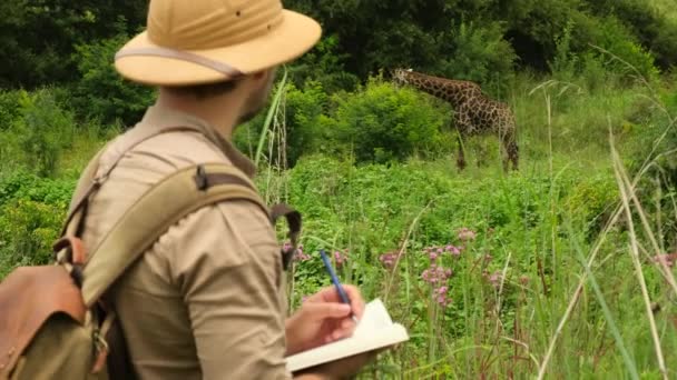 アフリカのサバンナの野生の唯一のキリンは サファリカーや観光客を通ります サファリハットの男性動物学者とメモ帳には野生動物についてのメモがあります — ストック動画