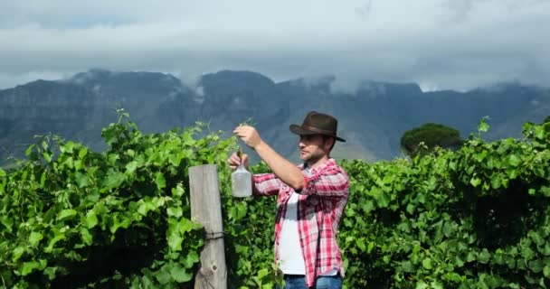 Ein Mann Weißen Mantel Mit Einer Pistole Auf Einer Weinplantage — Stockvideo