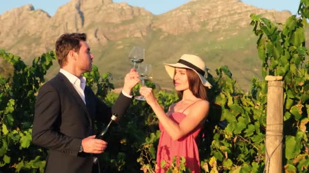 新婚旅行で南アフリカのワイナリーでワインを飲むのが大好きです ワインを飲みながら夕方にはブドウ畑の屋外のダイニングテーブルに座り — ストック動画