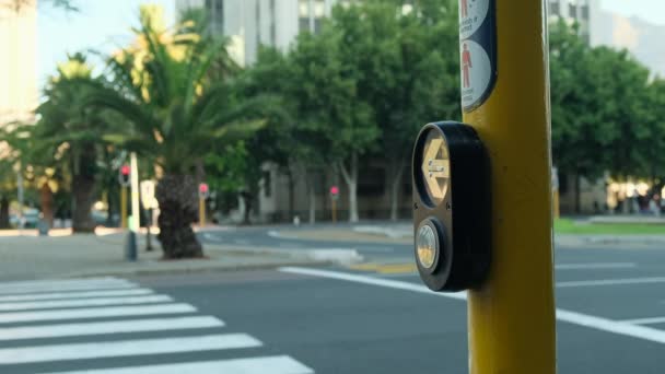 Жінка Натискає Кнопку Світлофорі Пішохідному Переході Кнопка Механізму Запалює Світлофори — стокове відео