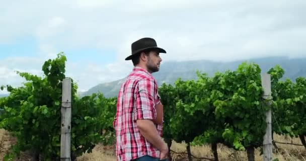 ブドウ畑で髭を生やした男農家 若い農夫と実業家が彼のブドウ畑を賞賛して立っていた カリフォルニアのブドウ畑を歩いています — ストック動画