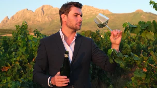 Charismatische Man Een Pak Drinkt Witte Wijn Uit Een Glas — Stockvideo