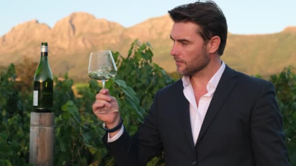 Charismatic Man Suit Drinking White Wine Glass Winery Smiling Young — Stock Video