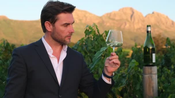 Χαρισματικός Άντρας Κοστούμι Που Πίνει Λευκό Κρασί Από Ποτήρι Οινοποιείο — Αρχείο Βίντεο